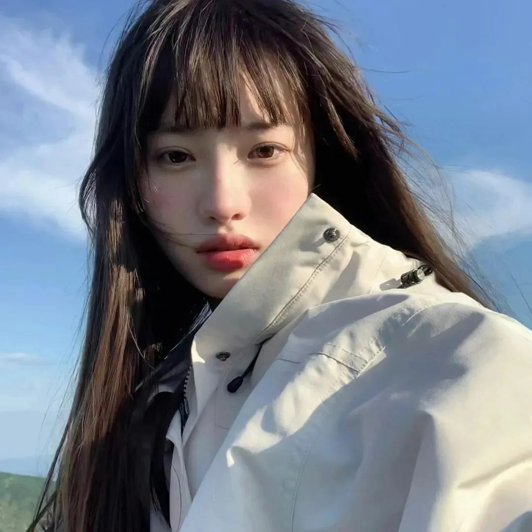 波普先生的企鹅
