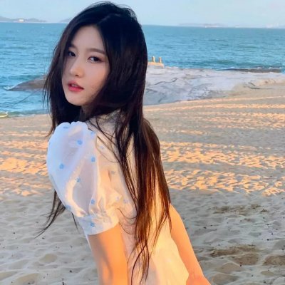 羊与钢的森林